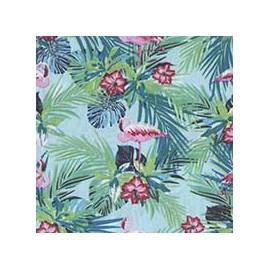 VENEZIANO FSIA CF 100% ALG  145 CMS W0766