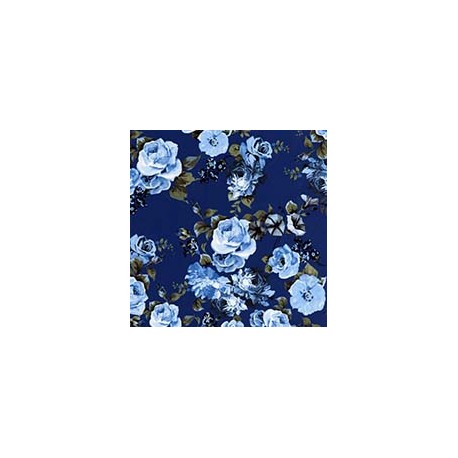 VENEZIANO FSIA CF 100% ALG  145 CMS V0755