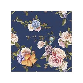 VENEZIANO FSIA CF 100% ALG  145 CMS U0728